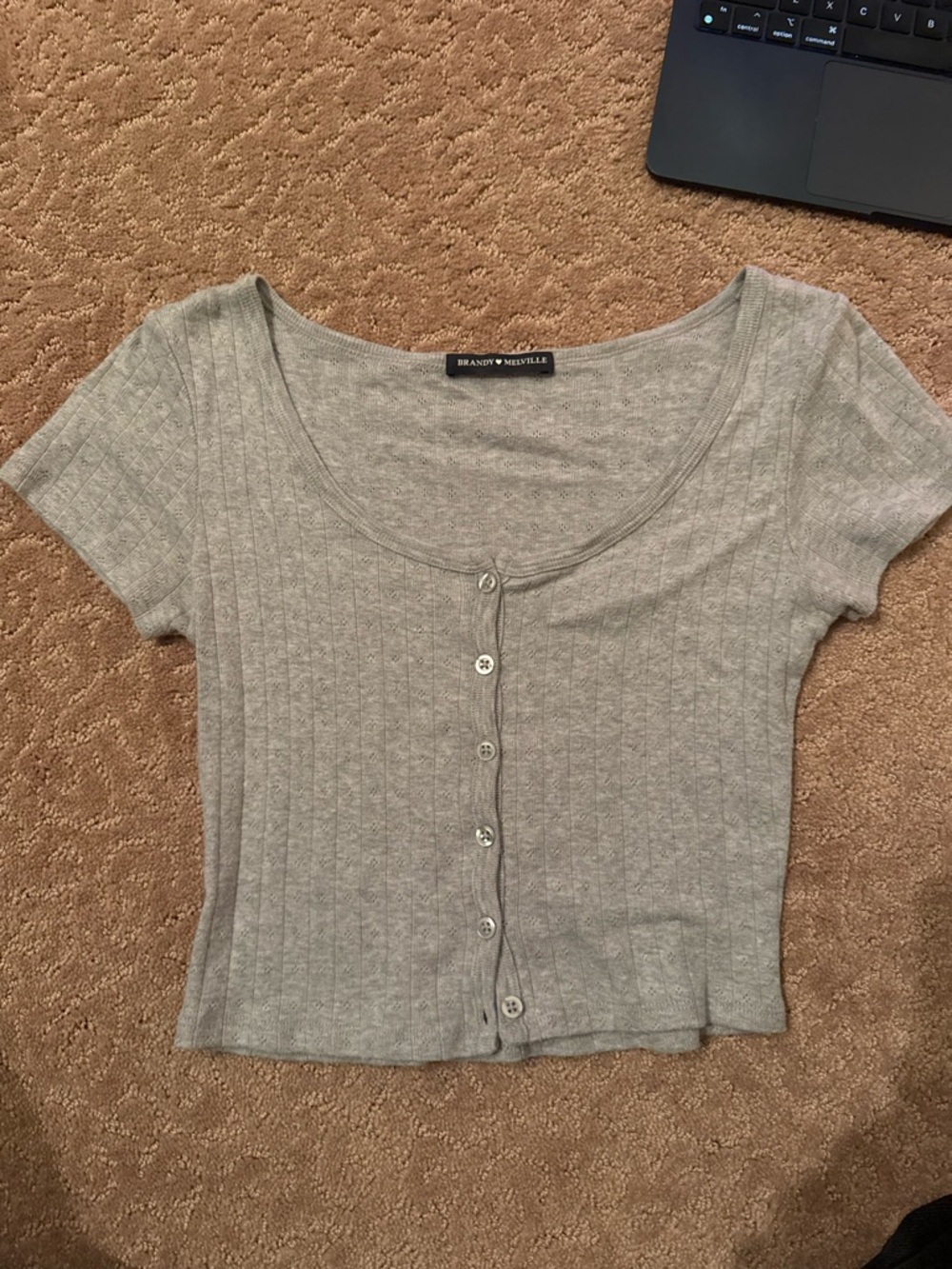 Brandy Melville Light Gray Ribbed Button-Front Crop Top
